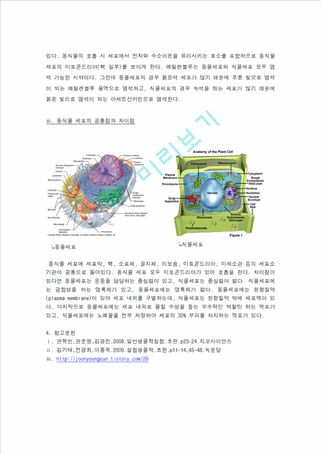 자연과학 예비레포트 동물세포와 식물세포 비교 관찰기타실험결과